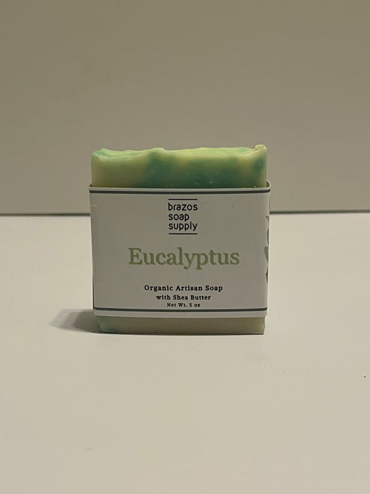 Eucalyptus